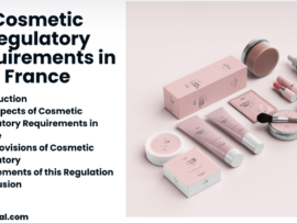 Cosmetic Regulatory Requirements in France