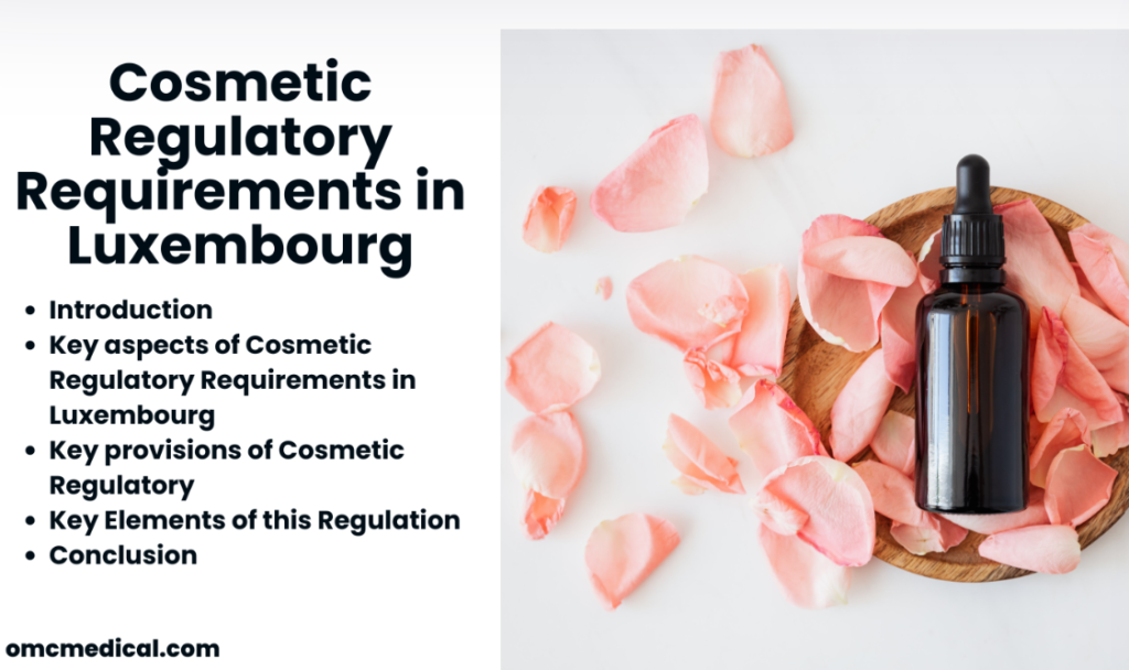 Cosmetic Regulatory Requirements in Luxembourg